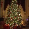 Christmas Decoration (3)