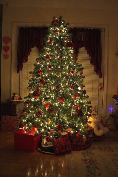 Christmas Decoration (3)