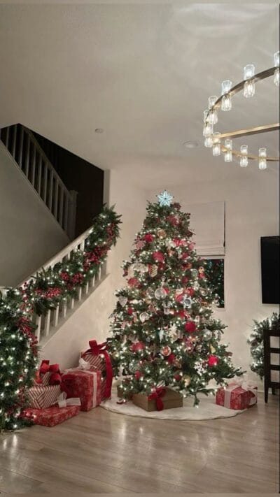 Christmas Decoration (4)