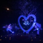 Night Light Decoration