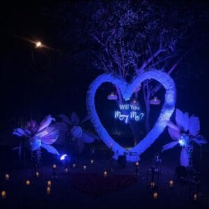 Night Light Decoration