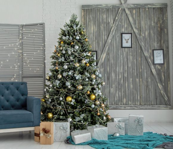 Christmas Decoration (2)